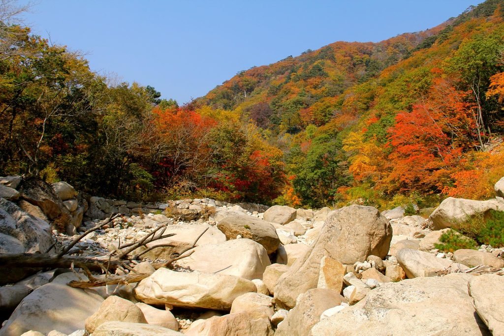 가을 단풍으로 붉고 노랗게 물든 설악산의 산봉우리와 숲 풍경